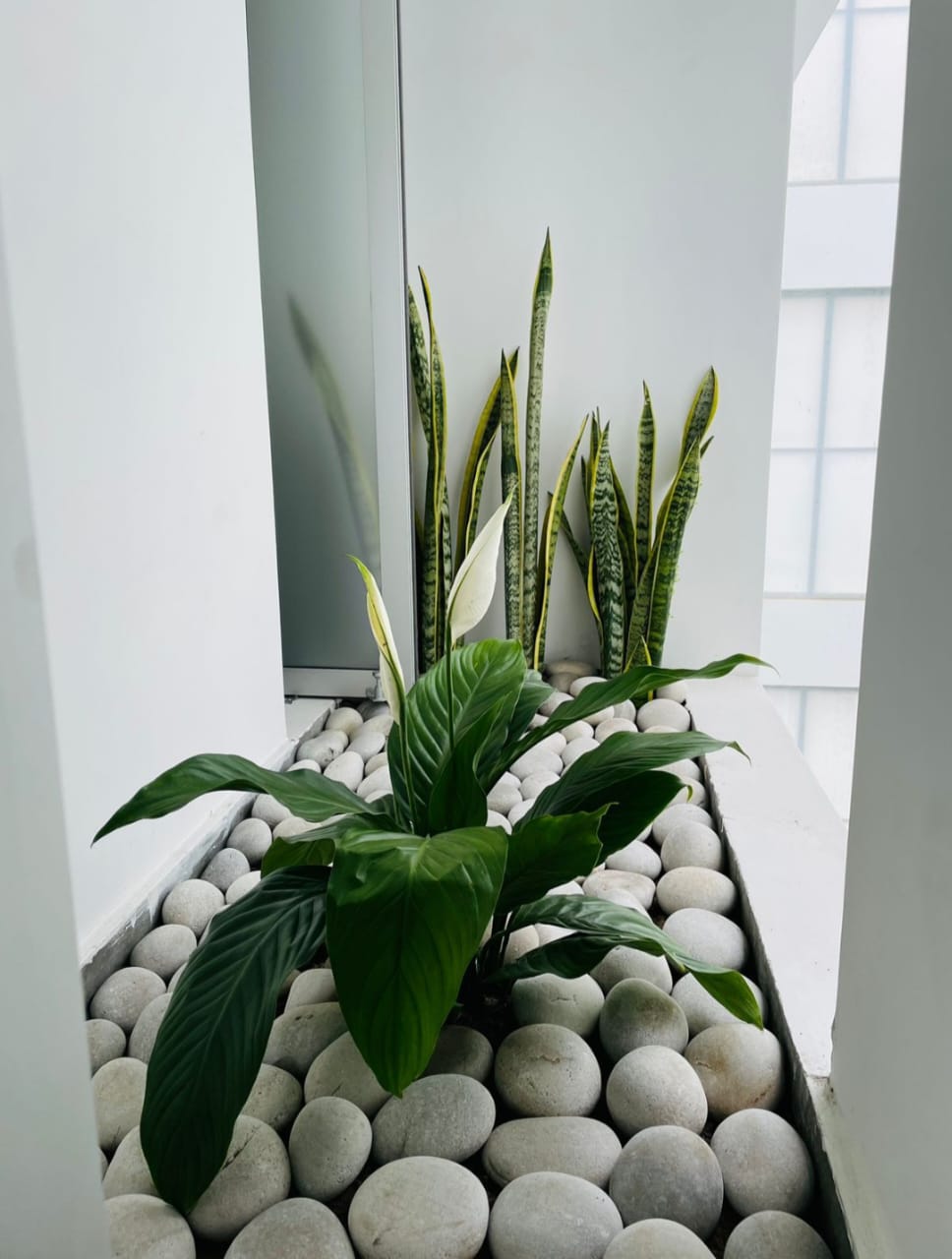 Diseño de jardines
